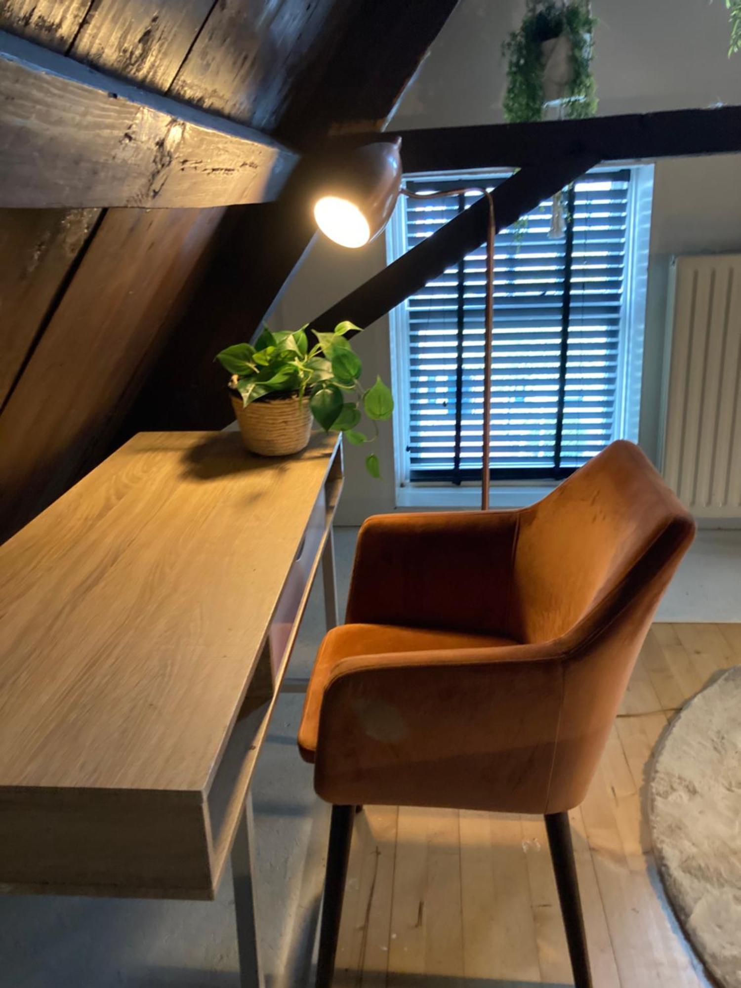 Elegant Appartement In Pakhuis Friesland Centrum Leeuwarden Phòng bức ảnh