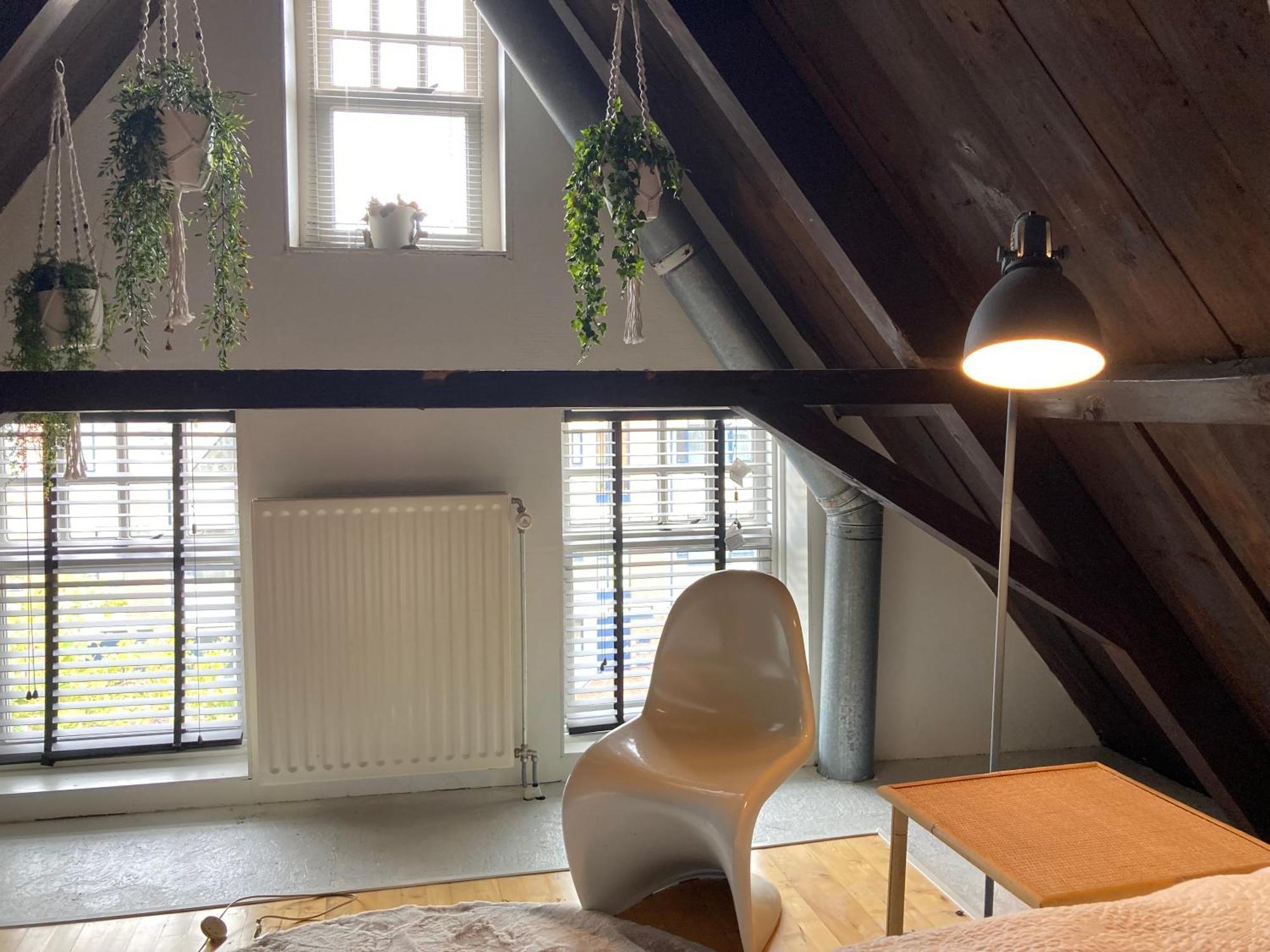 Elegant Appartement In Pakhuis Friesland Centrum Leeuwarden Phòng bức ảnh