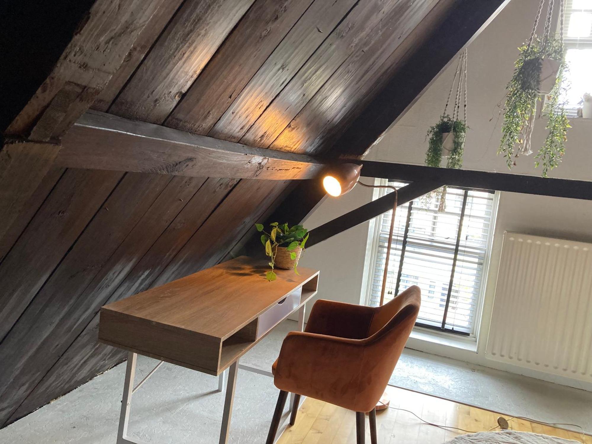 Elegant Appartement In Pakhuis Friesland Centrum Leeuwarden Phòng bức ảnh