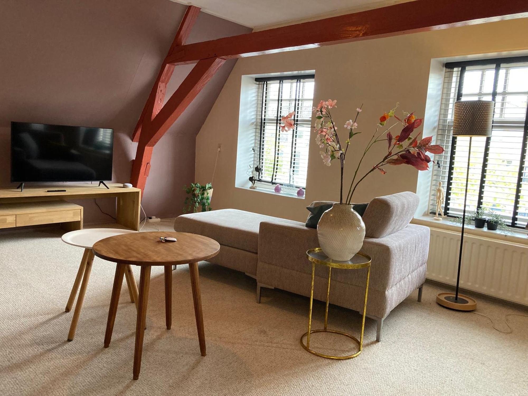 Elegant Appartement In Pakhuis Friesland Centrum Leeuwarden Ngoại thất bức ảnh